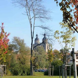 Luthergarten mit Stadtkirche
