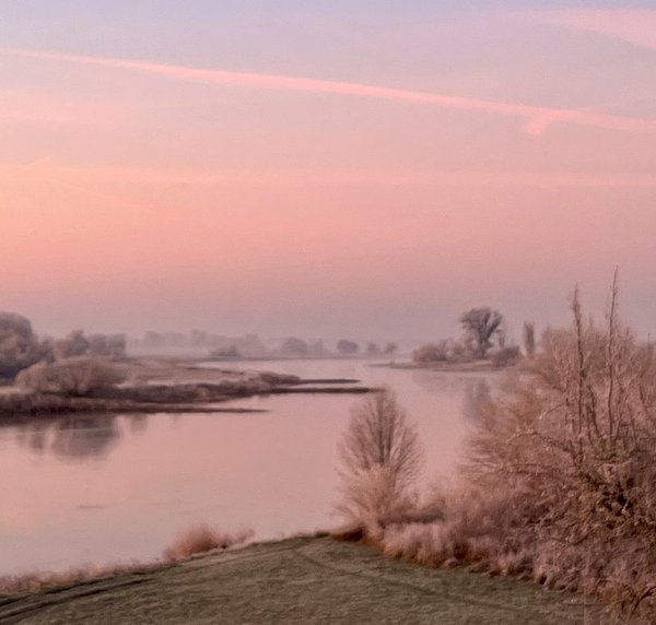 Blick auf die Elbe an einem Wintermorgen von Kleinwittenberg aus 