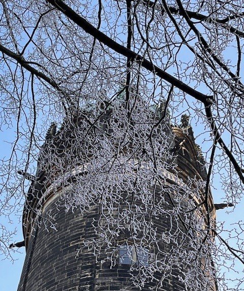 Turm der Schlosskirche im Winter mit gefrorenen Zweigen im Vordergrund 